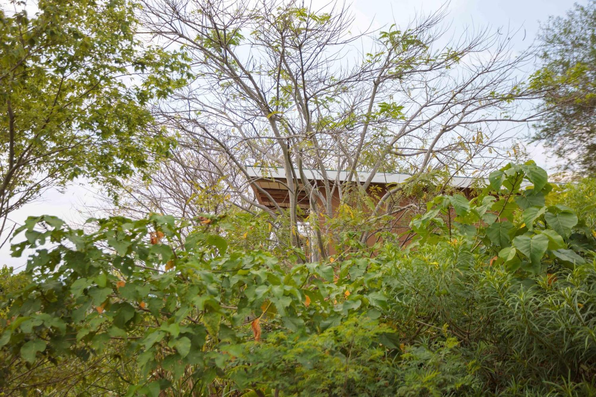 Lake Mwamba Lodge Kasenda Dış mekan fotoğraf